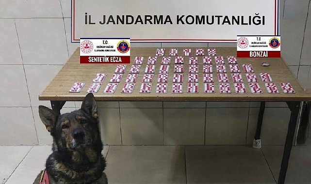Erzincan'da uyuşturucu operasyonu