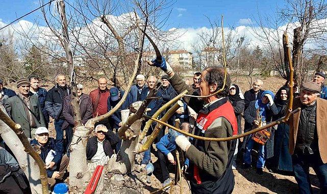 Eskişehir çiftçisine meyve ağaçlarında budama ve aşılama eğitimi verildi