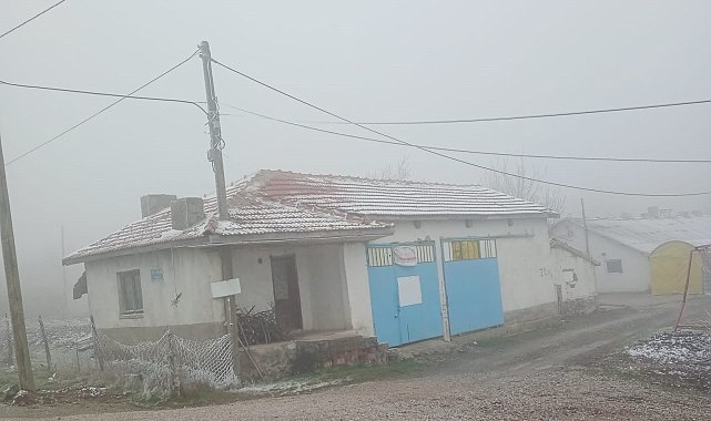 Eskişehir'de sis ve don olayı etkili oldu
