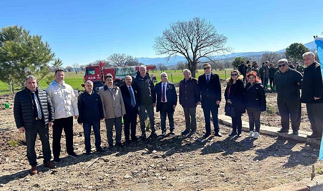 Gediz'de 150 karaçam toprakla buluştu