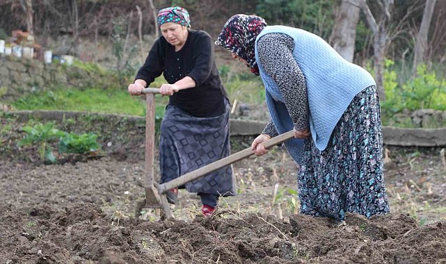 Gençler tarlaya girmiyor