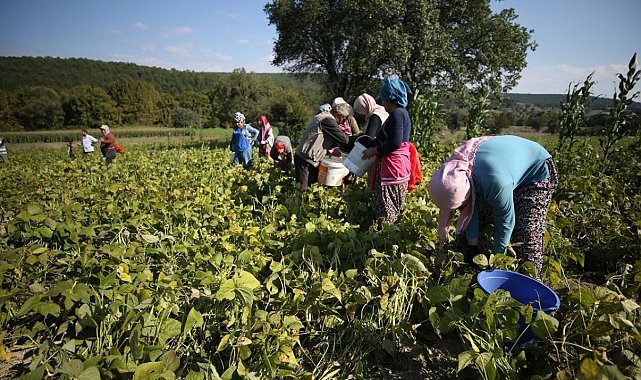 GMKA destek verdi, kadın üretimi ve istihdam güçlendi