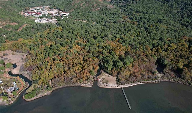 Günnücek Sığla Ormanı, Cumartesi günleri de ziyaret edilebilecek