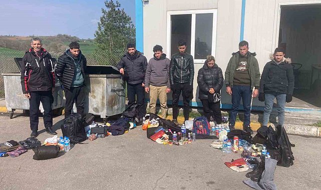 Hafif ticari araçtan 1'i kadın 8 kaçak göçmen çıktı