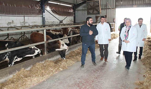 Hibe desteğiyle başladı başarılı bir şekilde devam ediyor