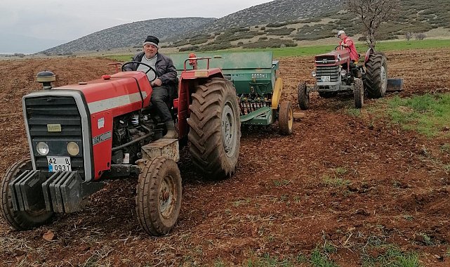 Hüyük'te atıl tarım alanları aspir ekilerek üretime kazandırılıyor