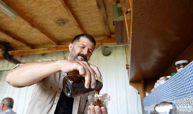 İnegöl'de 'Karaçalı' balının coğrafi işareti için çalışma yapılacak