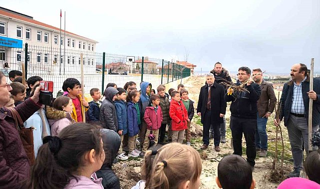 İscehisar'da fidan diktiler