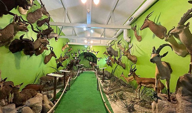 İstanbul'da yaban hayvanlarına ait yüzlerce tahnitin ele geçirildiği operasyonunun detayları ortaya çıktı