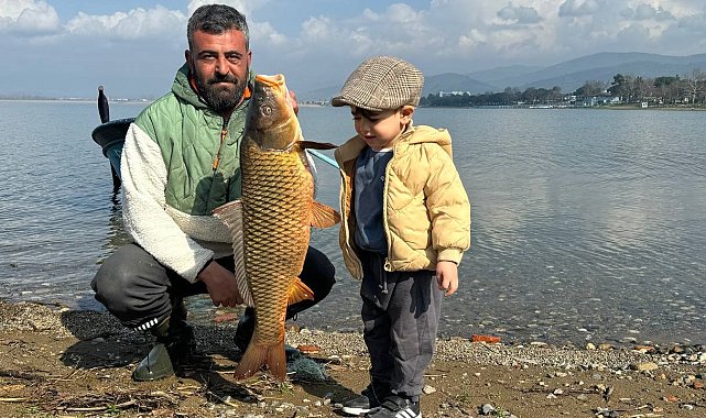 İznik Gölü'nde sazan bereketi