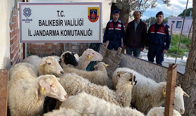 Jandarma EFT dolandırıcılarını yakaladı