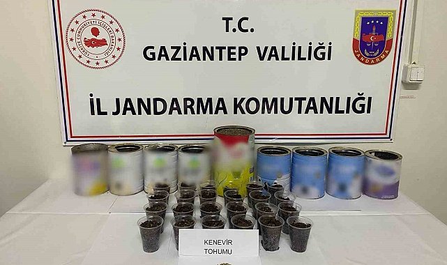 Jandarmadan uyuşturucu operasyonu