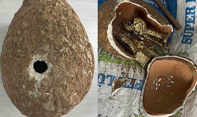 JASAT dedektiflerinden 'Viking' operasyonu