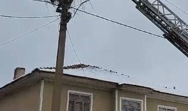 Kara yakalanan leylekleri itfaiye ekipleri besledi