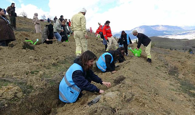 Karabük&#039;te 3 bin 500 fidan toprakla buluşturuldu
