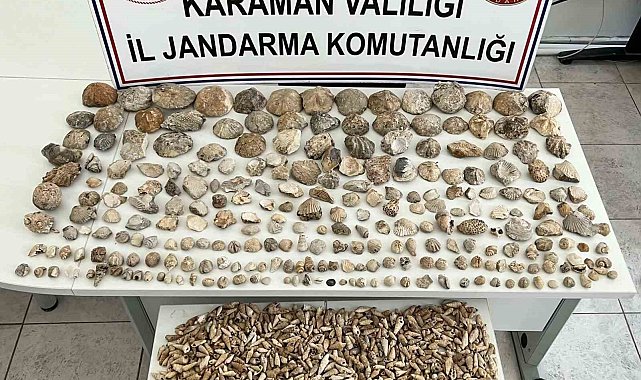 Karaman'da bin 780 adet bitki ve hayvan fosili ele geçirildi