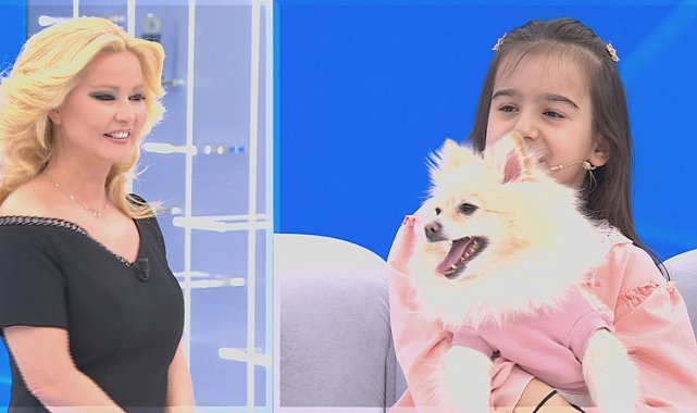 Kayıp köpek Müge Anlı'da bulundu