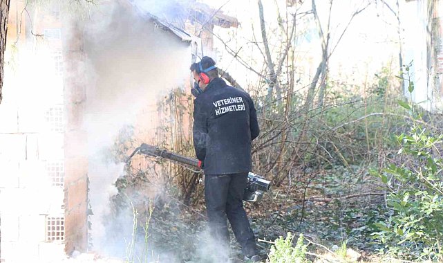 Kocaeli'de 800 bin metrekare alan ilaçlandı