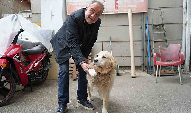 Köpeğin doktora havlaması sahibine 700 bin TL'ye patladı