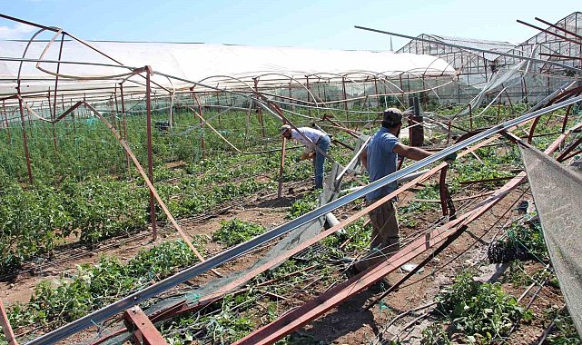 Kumluca'da hortum afetinden 265 dönüm alanda 111 üretici etkilendi