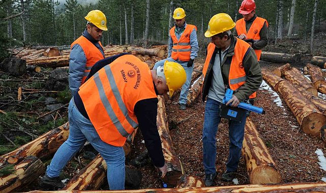 Kütahya OBM'de barkodlu orman emvalleri ihalede