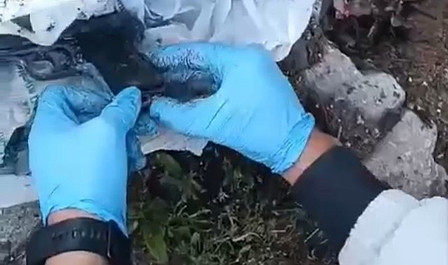 Kütahya ve Afyonkarahisar'da kaçak silah ticareti operasyonu: 6 gözaltı