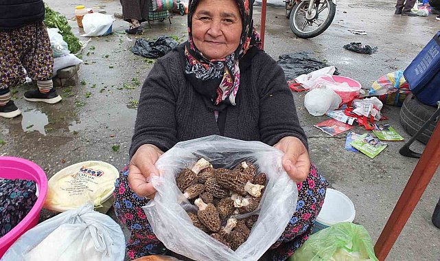 Kuzu göbeği mantarı altın ile yarışıyor