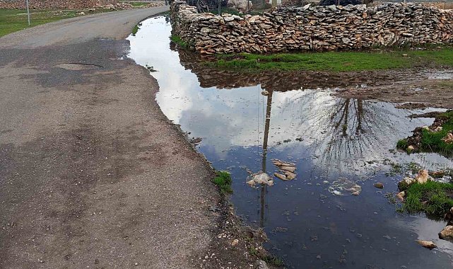 Mahalle sakinleri eksikliklerinin giderilmesini bekliyor