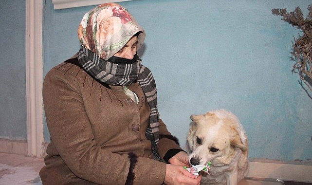 Mahallenin maskotu 'Çirkin' alkış sesi duyunca oynamaya başlıyor