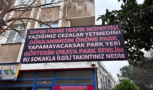 Maltepe fahri müfettiş krizi: Araç sahiplerine ceza yağdırdı