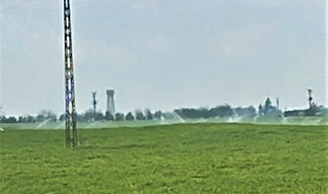 Mardin'de Dünya Su Günü'nde yağmur yağarken kaçak elektrikle tarla sulandı