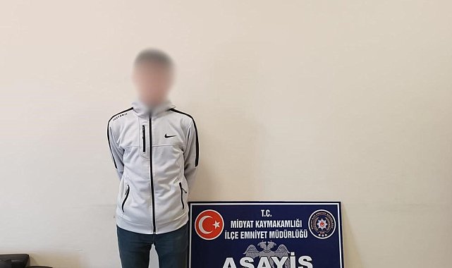 Mardin'de hırsızlık şüphelisi 2 kişi tutuklandı