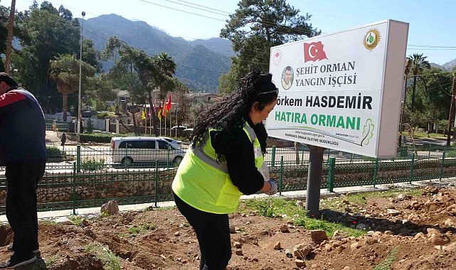 Marmaris'te binlerce fidan toprakla buluştu