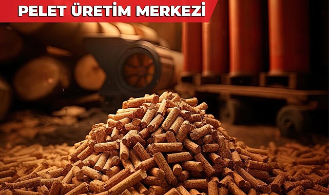 Merkezefendi'de parklardan toplanan kuru yapraklar ihtiyaç sahiplerine yakacak olacak