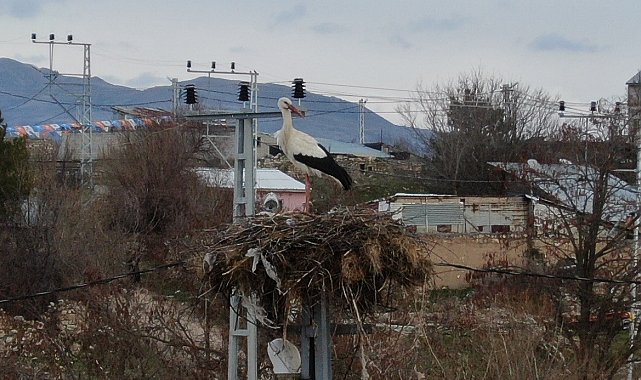 Mesken tuttukları köye bu yıl da geldiler