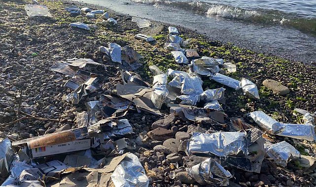 Milyonluk liman kazasının ardından kıyıya bakın neler vurdu