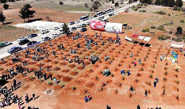 Muğla ve Aydın'da 50 bin fidan toprakla buluştu