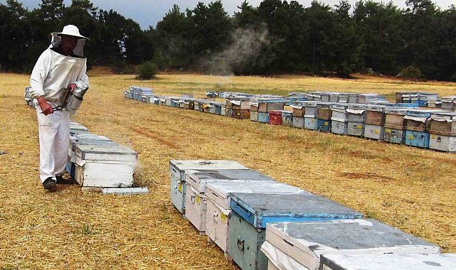 Muğla'da 7 bin 75 üreticiye 67,5 milyon TL destekleme ödemesi