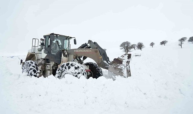 Muş kar yağışının ardından beyaz örtüyle kaplandı