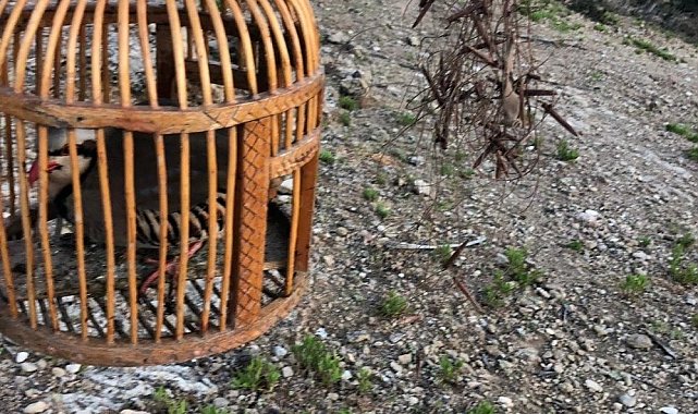 Muş'ta 1 kişiye 16 bin 121 TL para cezası kesildi