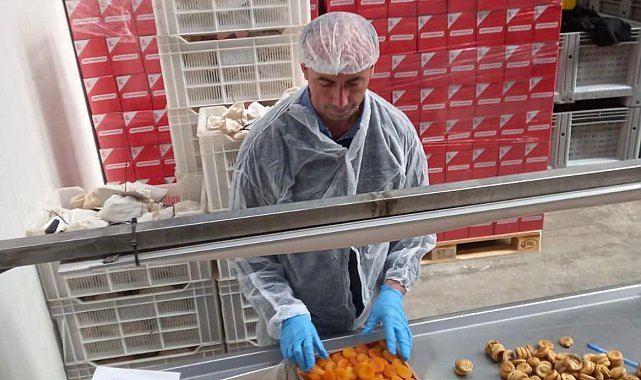 Nazilli'de 19 bin 472 ton tarımsal ürünün ihracat kontrolü yapıldı