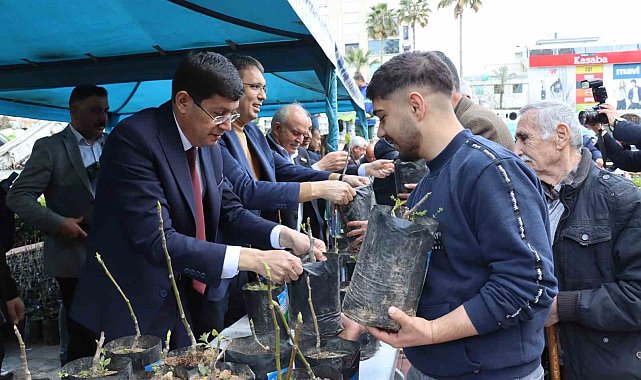 Nazilli'de 20 bin incir fidanı dağıtıldı