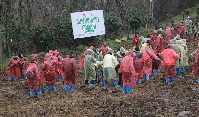 Ordu'da 5 bin fidan toprakla buluşturuldu