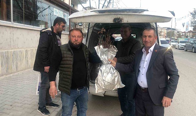 Osmaneli böğürtlenle renklenecek, ekilmedik alan kalmayacak