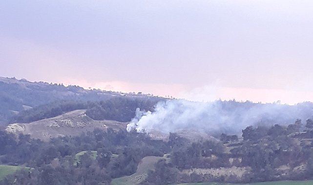 Osmaniye'de yıldırım düşen ormanlık alanda yangın çıktı