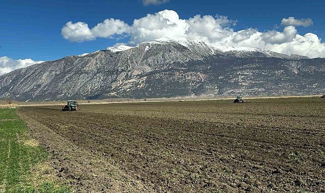 PAÜ Ziraat Fakültesi, Çivril'de kurulan uygulama arazisinde Ar-Ge çalışmalarına başladı