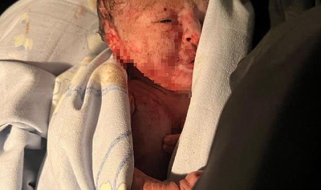 Pendik'te yeni doğmuş bir bebek bulundu