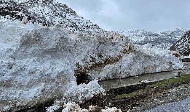 Pervari-Çatak yolu çığ nedeniyle ulaşıma kapandı