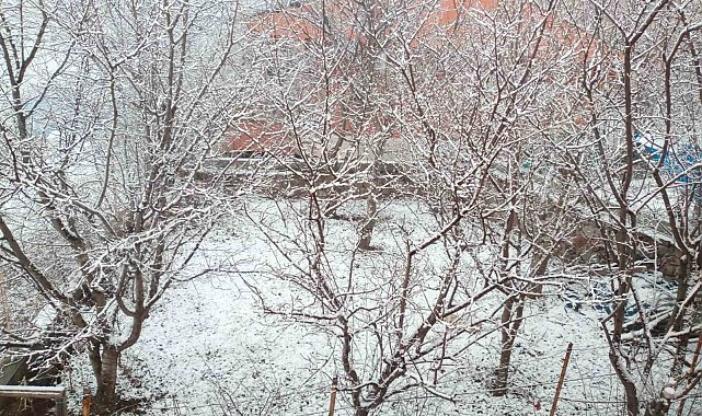 Posof'ta kar yağışı etkili oldu