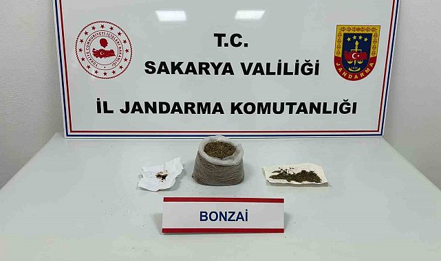 Sakarya'da uyuşturucu operasyonu: 1 tutuklama